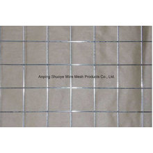 PVC Coated Welded Wire Mesh (Hebei Factory)